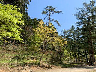 平泉の毛越寺