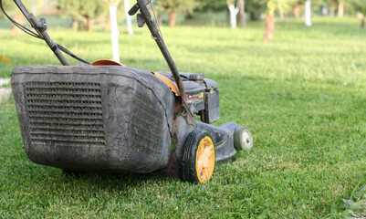 Mowing or cutting the long grass with a green lawn mower in the summer sun