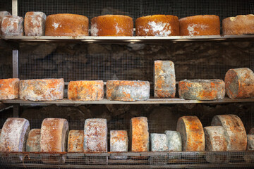 Gamonéu or Gamonedo cheese is a type of blue cheese with a protected designation of origin that is made in various towns in the councils of Cangas de Onís in the Principality of Asturias, Spain.