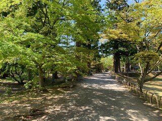 平泉の毛越寺