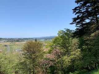 平泉の中尊寺参道からの景色