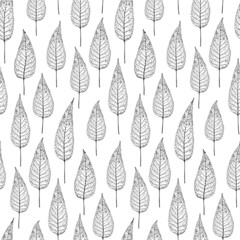 Abstract chokecherry tree leaf vector seamless pattern background. Stylized monochrome foliage backdrop.. Vertical botanical design. Hand drawn Prunus Canada leaves repeat for packaging