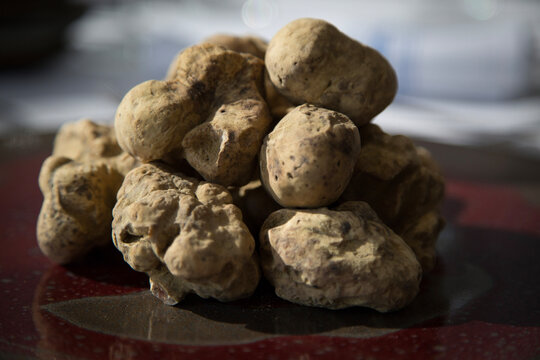 Plateful of white truffles