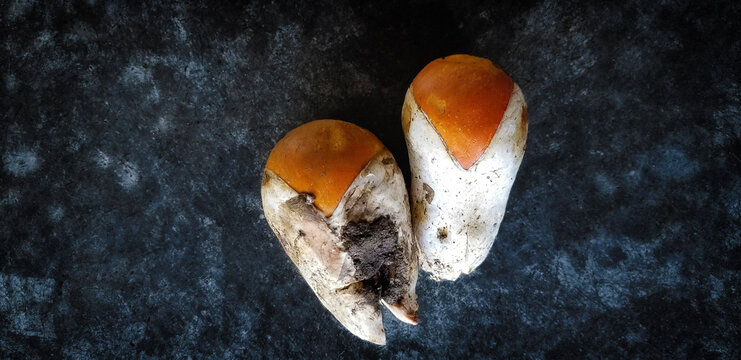 ovoli mushrooms
