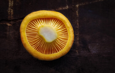 chanterelle mushrooms