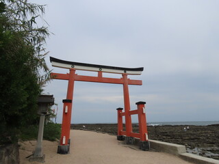 宮崎、青島神宮とボタニックガーデン青島