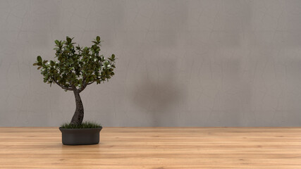 3d render interior bacground wood flor grey wall green small tree left with place for text