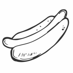 Vector illustration. Hand drawn doodle of hot dog with mustard. Unhealthy food. Cartoon sketch. Decoration for menus, signboards, showcases, greeting cards, posters, wallpapers