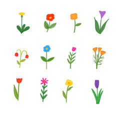 Hand drawn flowers set isolated