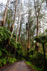 Don Rd Drive in Victoria Australia