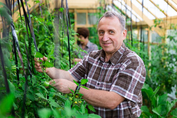 Portrait of elderly man posing in the greenhouse