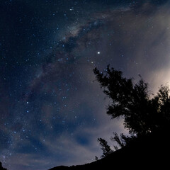 Fototapeta premium Stars and Trees