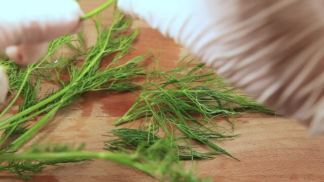 Cooking at home. Hands in white gloves parse washed dill on a wooden board before shredding, close-up