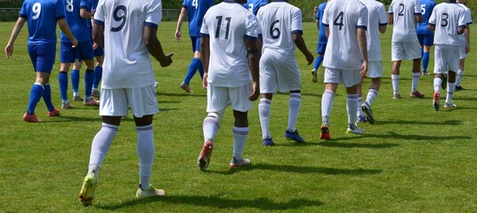 l'entrée des joueurs de football sur le terrain avant-match © ALAIN VERMEULEN