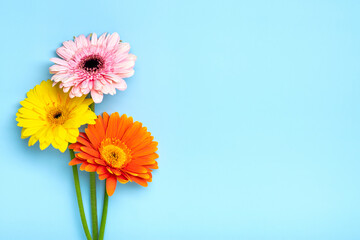 Bouquet of gerberas on blue background Top view Flat lay Holiday greeting card Happy moter's day, 8 March, Valentine's day, Easter concept Copy space Mock up