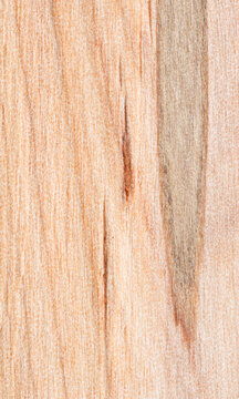 Textured background of wooden board