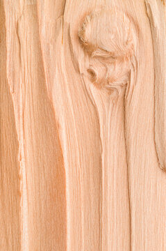 Textured background of wooden board