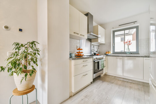 Interior Of Kitchen With Appliances