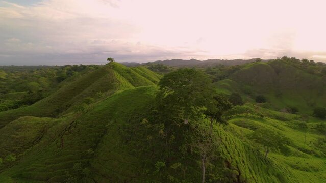 AERIAL: Flying over stunning exotic landscape with hills and valleys for pasturing purposes. Tropical countryside near ocean. Drone view of deforested area for agricultural purposes in Panama.
