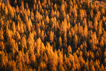 Autumn in the Italian Dolomites. The most beautiful time of the year to visit this place. Beautiful colors and breathtaking views. Mountain peaks above the valleys.