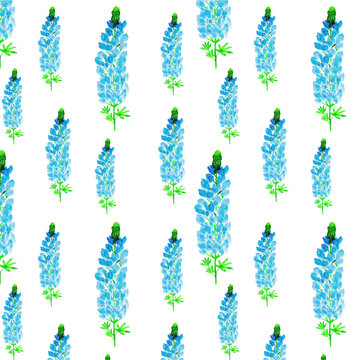  Bluebonnets Flowers Watercolor Floral Pattern