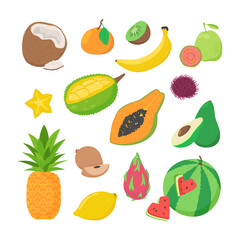Vector set of tropical fruits isolated on white background. Vegetarian food. Exotic flat cartoon illustration.