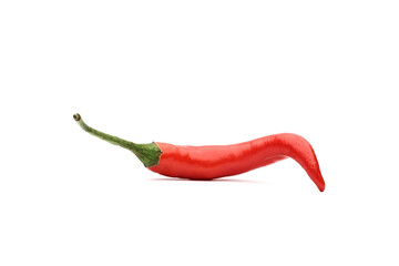 One red chili pepper isolated on a white background