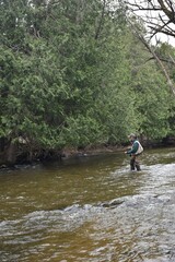 An angler fishing on a stream 