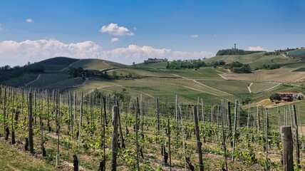 Fototapeta na wymiar landscapes of the Piedmontese Langhe of Barolo and Monforte d'Alba with its vines in the period of spring 2022
