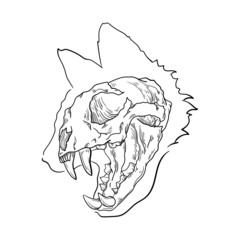 illustration black and white animal head skull line abstraction