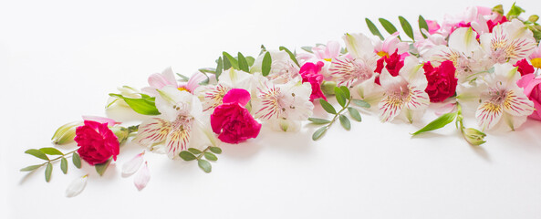 beautiful pink and white flowers on white background