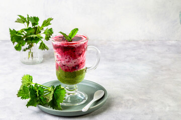 Delicious dessert with a layer of yogurt, nettle smoothie and honeysuckle jam. Dessert is served in a glass with a spoon. Copy space