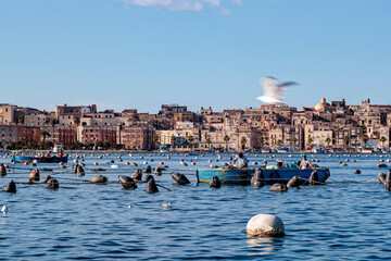 Città vecchia di Taranto