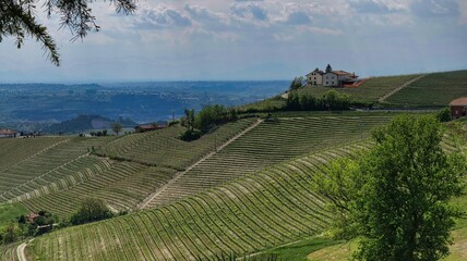 Fototapeta na wymiar the Piedmontese Langhe between Barolo and Monforte d'Alba in spring in 2022