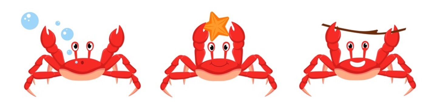 Vector illustration of cute and beautiful crabs on white background. Charming characters in different poses with blowing bubbles, holding a starfish and happily holding a stick in cartoon style.