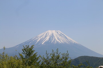 Fototapeta premium 富士山