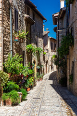 Fototapeta na wymiar Beautiful medieval street with flowers and plants in the historic center of Spello, Umbria Italy