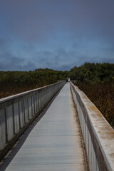 Wetland wooden walk way leading into the distance under a stormy sky