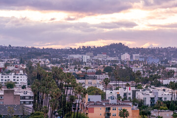 Rooftop view of residential homes in the Hollywood Hills of Los Angeles, California, USA at sunrise