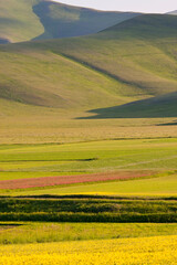 castelluccio di norcia, fioritua