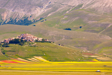 castelluccio di norcia, fioritua