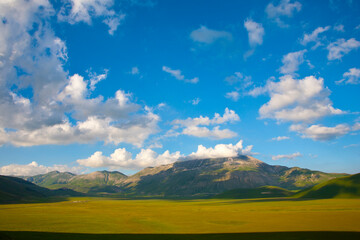 Castelluccio di Norcia, fioritua