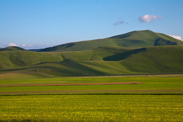 Castelluccio di Norcia, fioritua