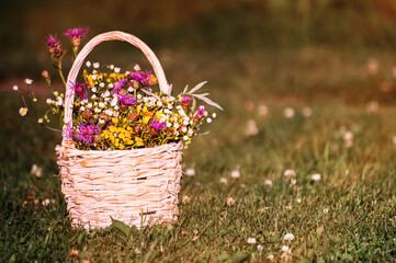 Fototapeta na wymiar A basket of flowers stands on the grass