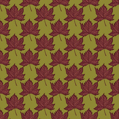 Leaves maple engraved seamless pattern. Vintage background botanical with canadian foliage in hand drawn style.