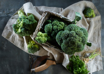 Fresh broccoli on metallic background