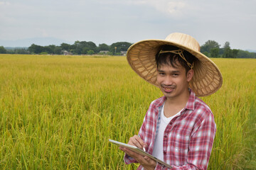 Fototapeta premium Portrait of Asian younger farmer who wears hat and red-white shirt, holds taplet, stands in the middle of rice paddy field, concept for using technology with agriculture in dailylife. 