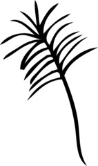 collection forest fern eucalyptus art foliage natural
leaves herbs inline style. Decorative beauty, elegant illustration 
Vector flower Botanical