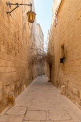 Narrow path between old fortress buildings with a dry tree in old Malta Capital Mdina