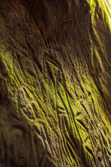 Inside the edakkal caves are pictorial writings believed to date to at least 6,000 BCE, from the Neolithic man,.